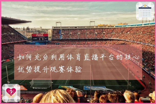 如何充分利用体育直播平台的核心优势提升观赛体验