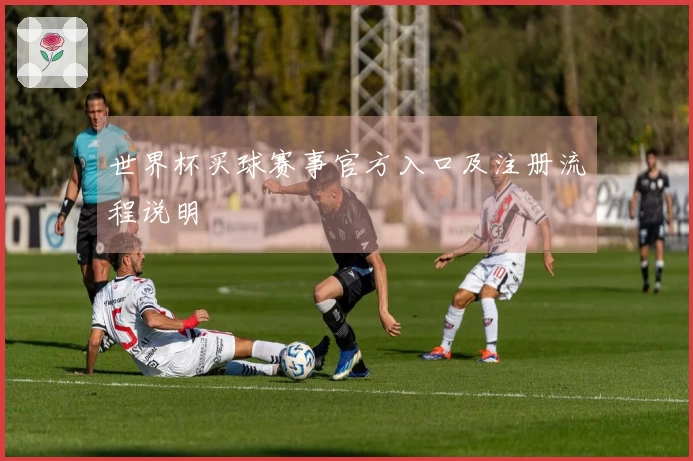 世界杯买球赛事官方入口及注册流程说明