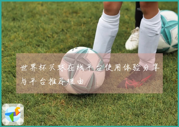 世界杯买球在线平台使用体验分享与平台推荐理由