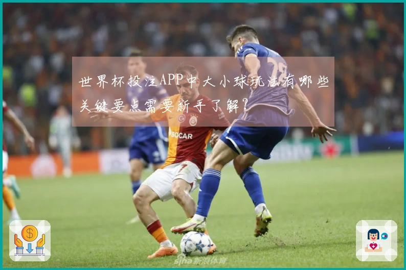 世界杯投注APP中大小球玩法有哪些关键要点需要新手了解?