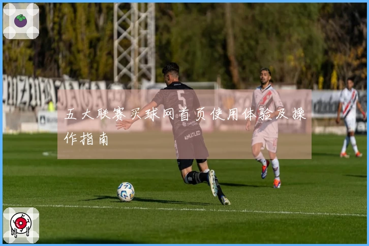 五大联赛买球网首页使用体验及操作指南