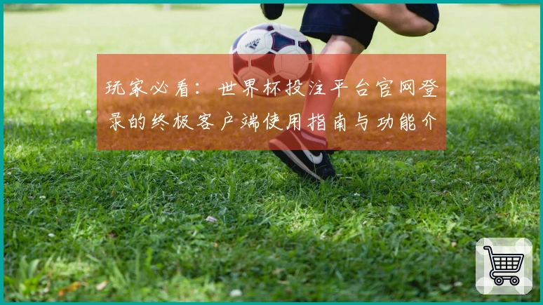 玩家必看：世界杯投注平台官网登录的终极客户端使用指南与功能介绍
