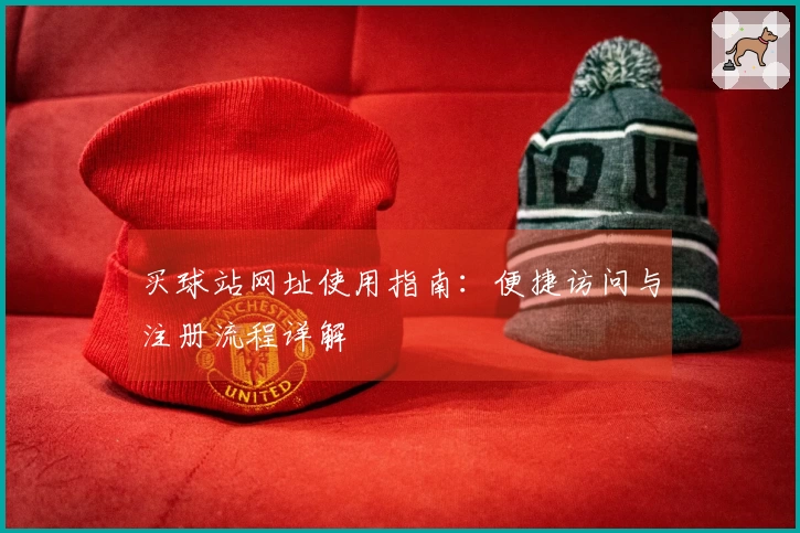 买球站网址使用指南：便捷访问与注册流程详解