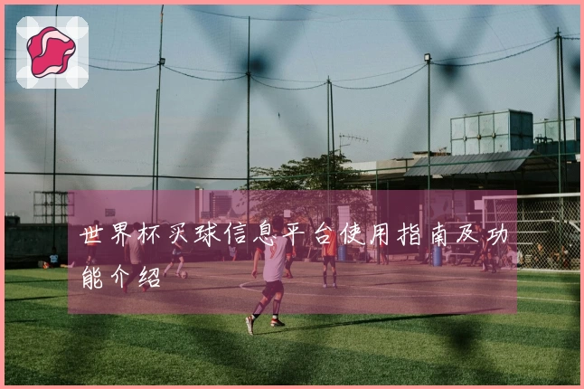 世界杯买球信息平台使用指南及功能介绍