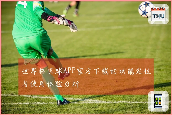 世界杯买球APP官方下载的功能定位与使用体验分析