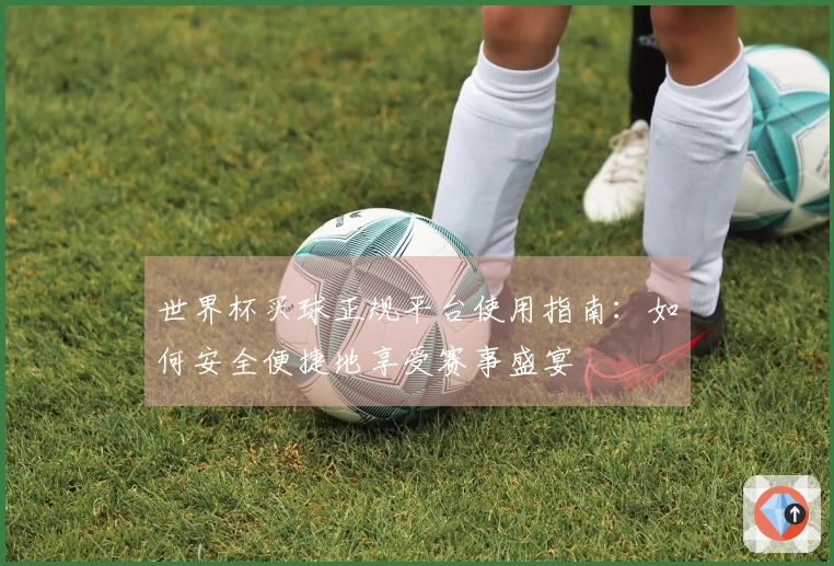 世界杯买球正规平台使用指南：如何安全便捷地享受赛事盛宴