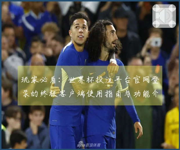 玩家必看：世界杯投注平台官网登录的终极客户端使用指南与功能介绍