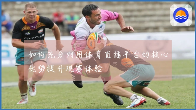 如何充分利用体育直播平台的核心优势提升观赛体验