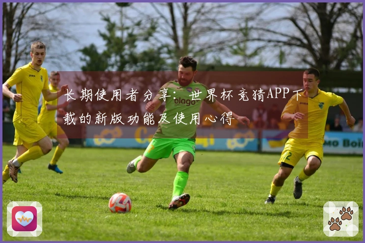 长期使用者分享：世界杯竞猜APP下载的新版功能及使用心得