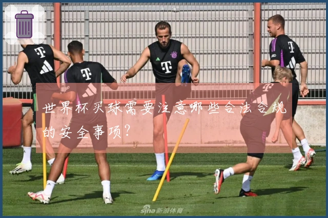 世界杯买球需要注意哪些合法合规的安全事项？