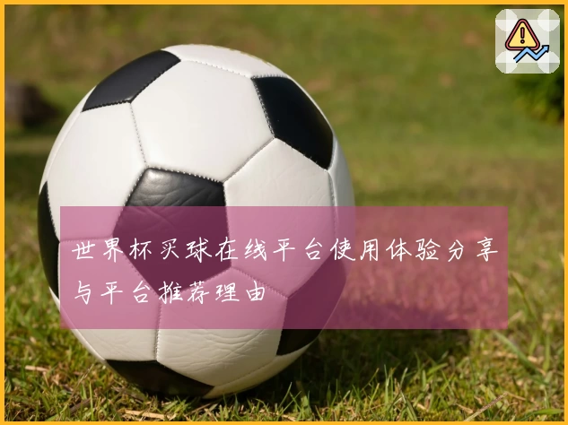 世界杯买球在线平台使用体验分享与平台推荐理由