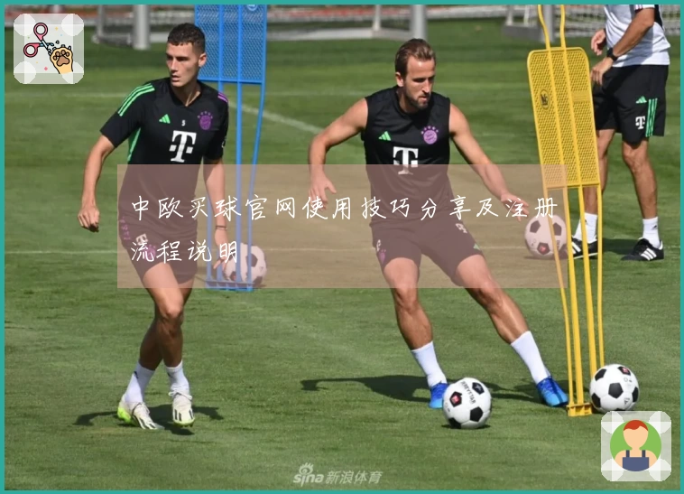 中欧买球官网使用技巧分享及注册流程说明
