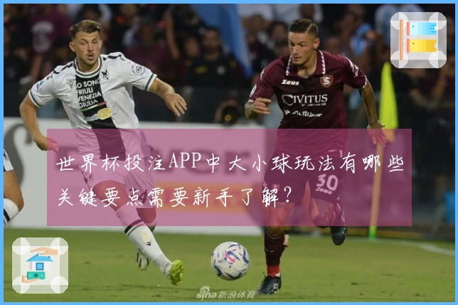 世界杯投注APP中大小球玩法有哪些关键要点需要新手了解？