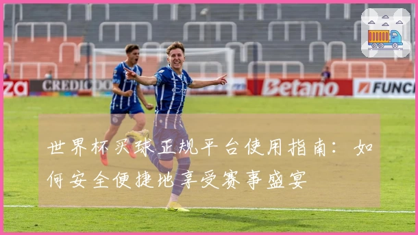世界杯买球正规平台使用指南：如何安全便捷地享受赛事盛宴