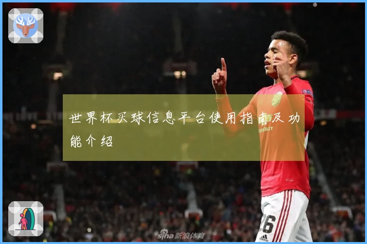 世界杯买球信息平台使用指南及功能介绍
