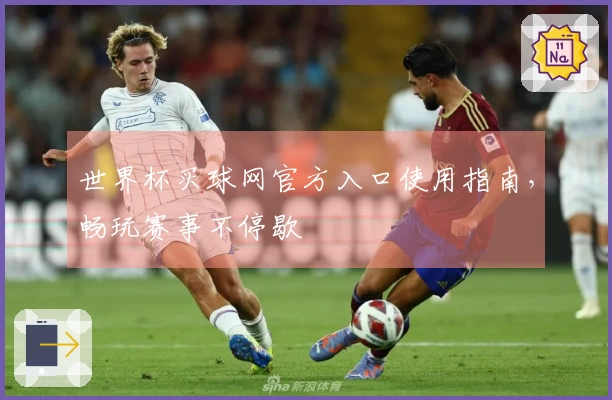世界杯买球网官方入口使用指南，畅玩赛事不停歇