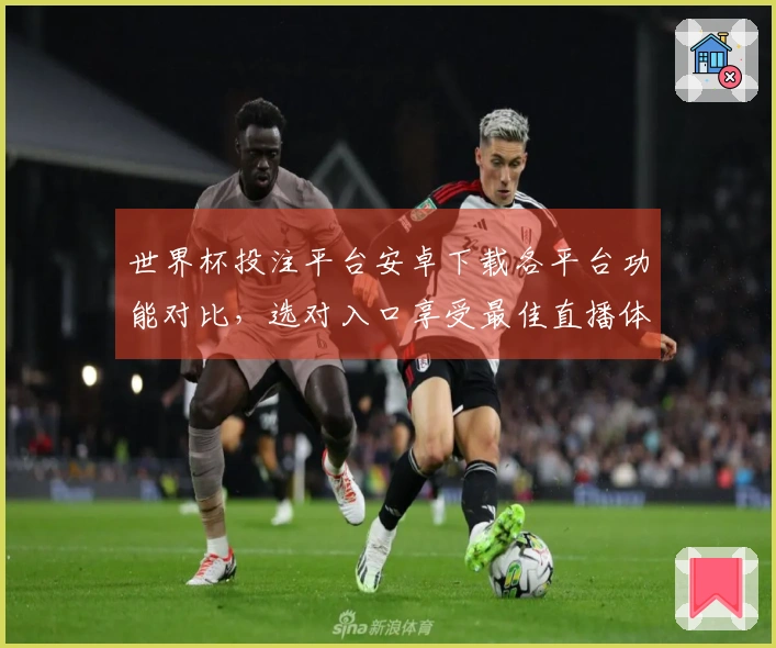 世界杯投注平台安卓下载各平台功能对比，选对入口享受最佳直播体验