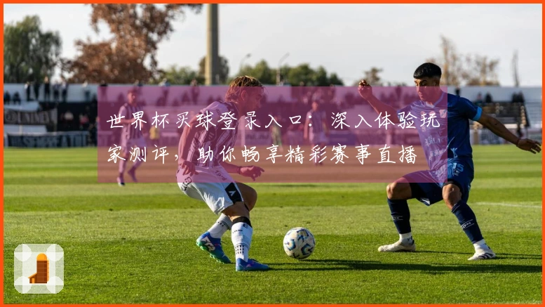 世界杯买球登录入口：深入体验玩家测评，助你畅享精彩赛事直播