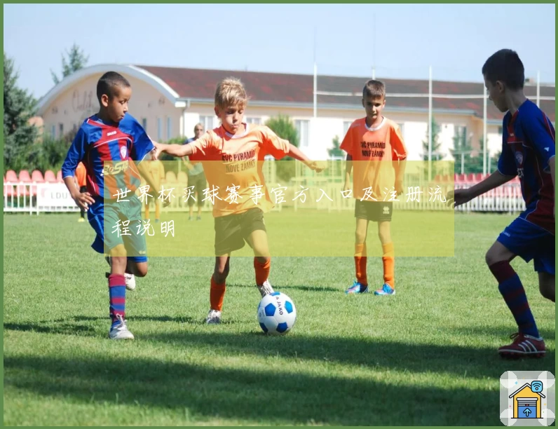 世界杯买球赛事官方入口及注册流程说明