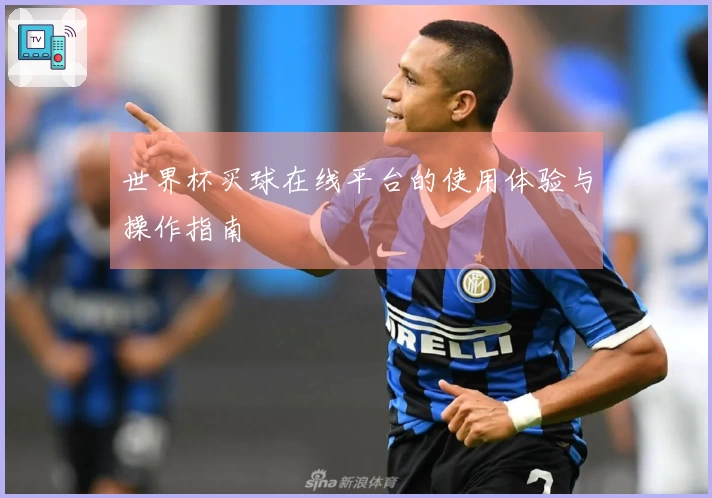 世界杯买球在线平台的使用体验与操作指南