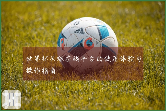 世界杯买球在线平台的使用体验与操作指南
