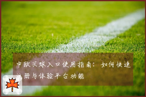 中欧买球入口使用指南：如何快速注册与体验平台功能